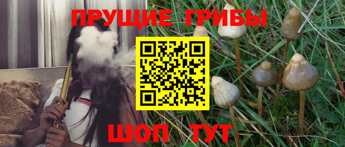 Котлас  Псилоцибиновые грибы мухоморы  Вход с VPN  Галлюциногенные грибы мицелий 